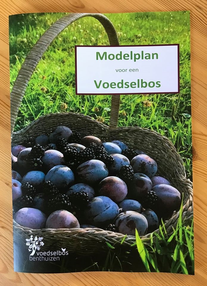 Modelplan voor een voedselbos